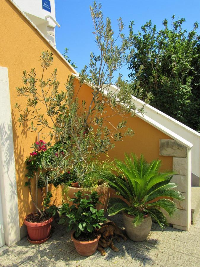 Apartment Andrea Orebić Buitenkant foto